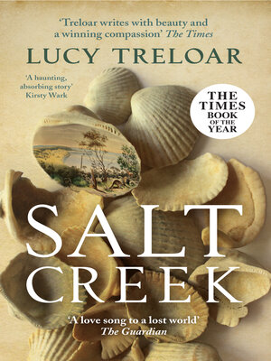cover image of Salt Creek